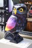 The Wise Renewab-owl 1