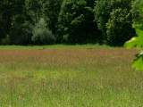 PICT0019