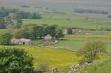 DSC 0347