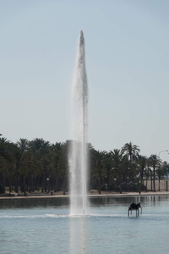 DSC00531