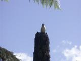 2003-11-14 - Bay of Islands