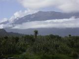 PICT0310
