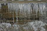 DSC00148