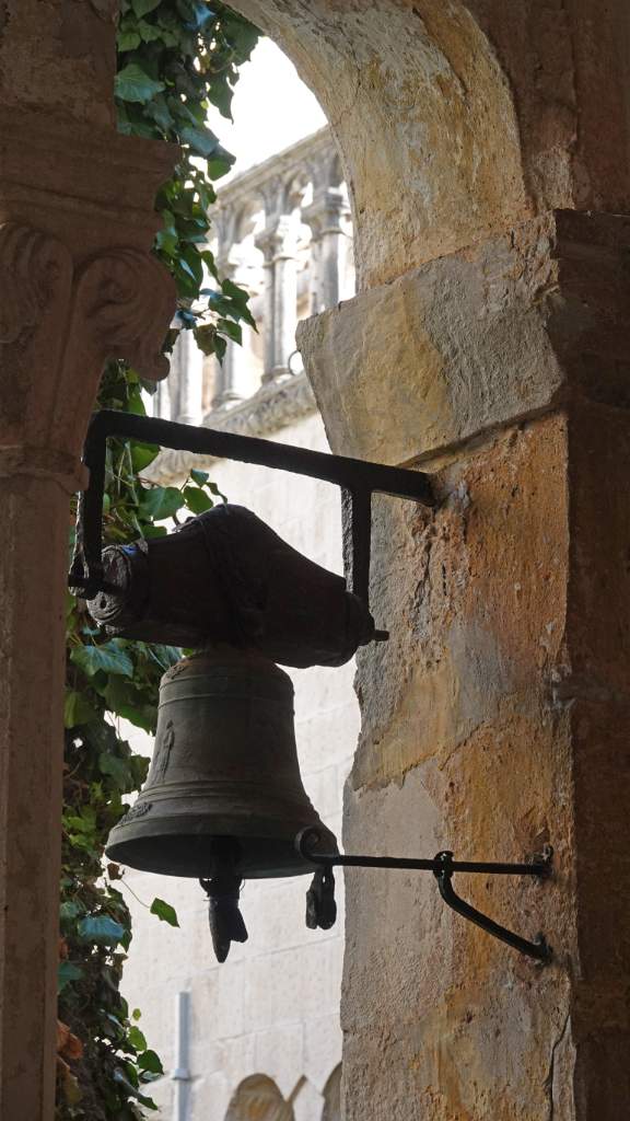 DSC01975