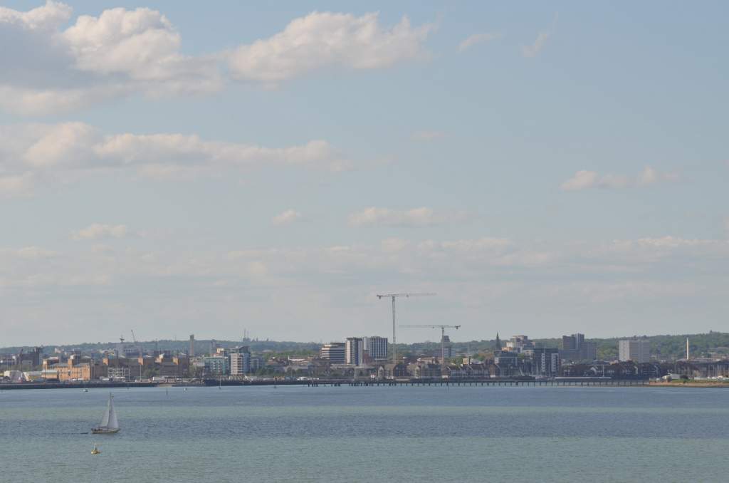 DSC 0667