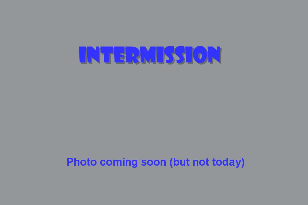 intermission