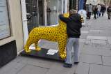 Bath Lions