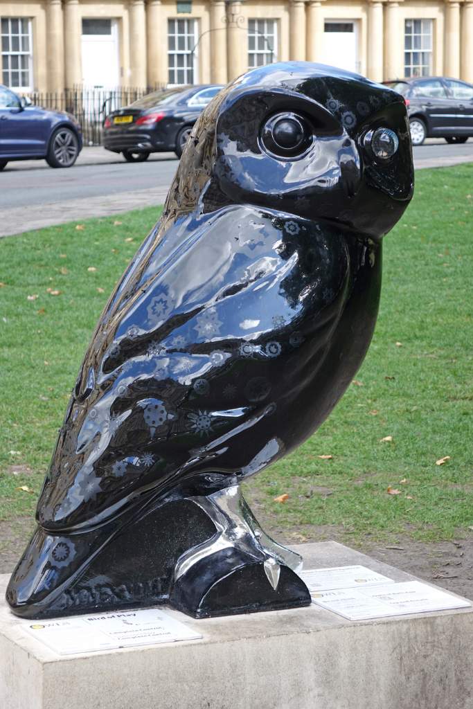 Bird of Play 2