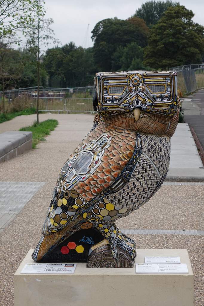Digitowl 1
