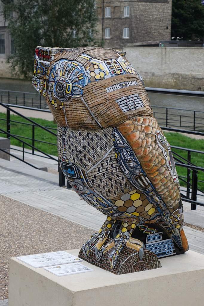 Digitowl 2