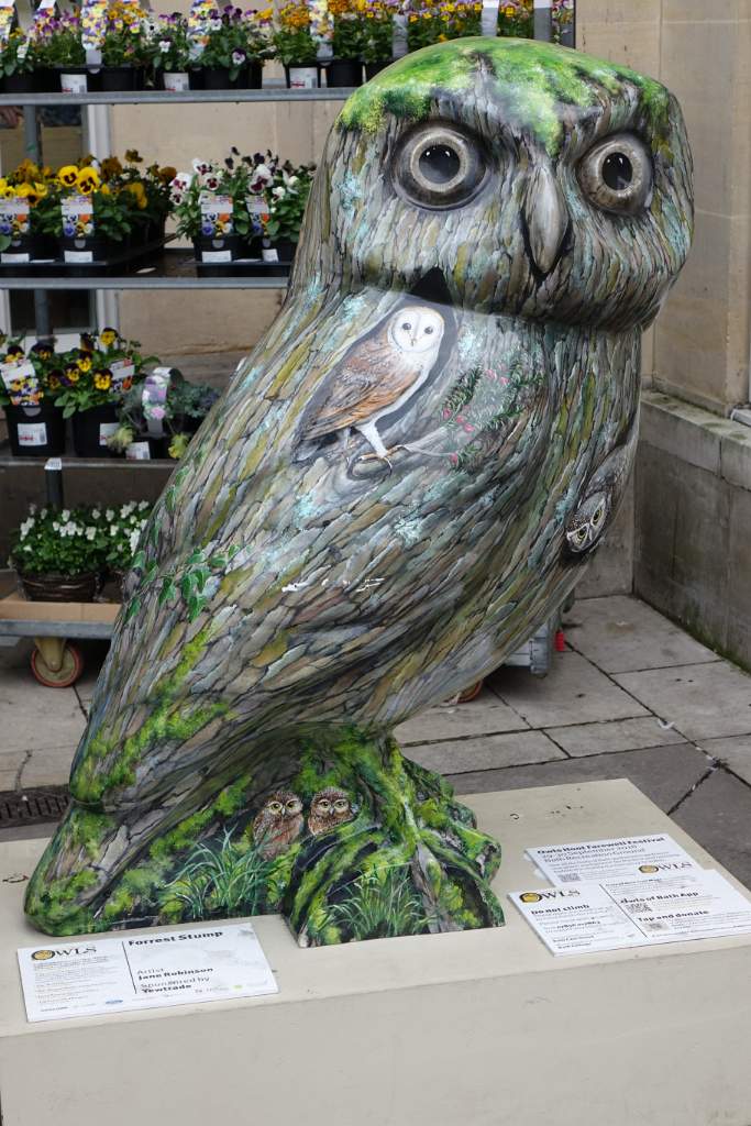 Forest Stump