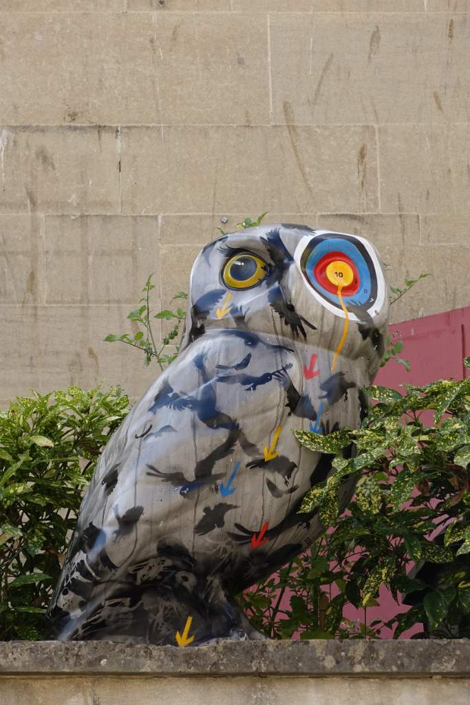 H'Owl - before it's too late.
