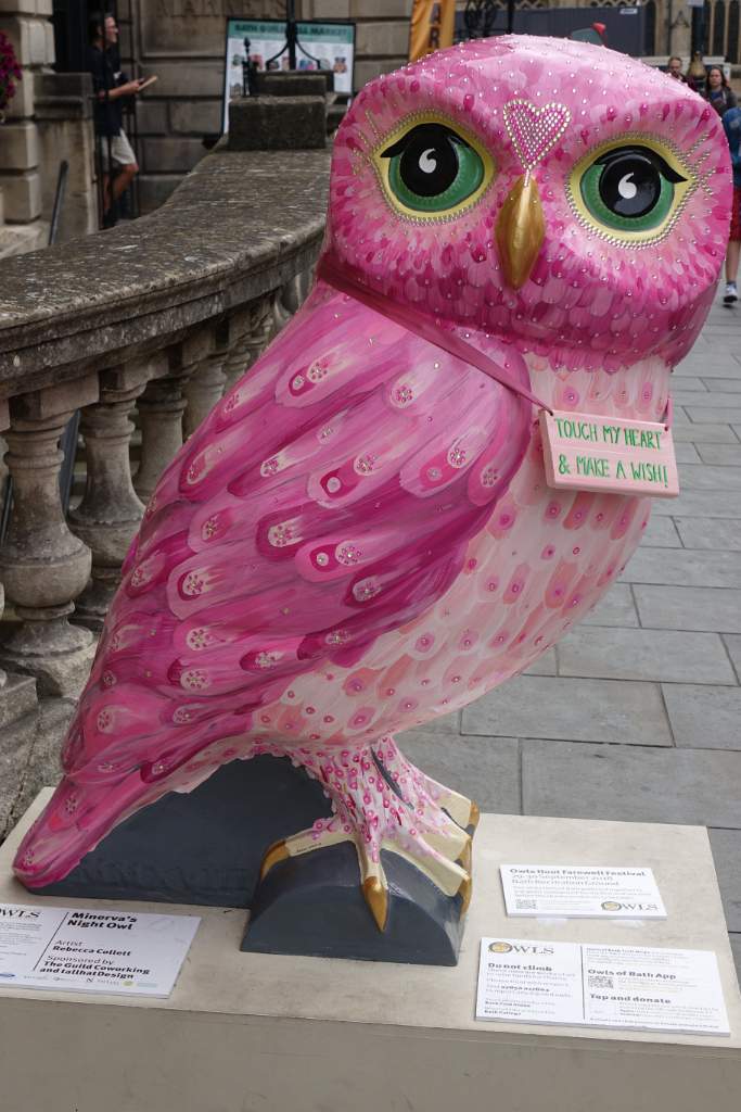 Minerva's Night Owl 2