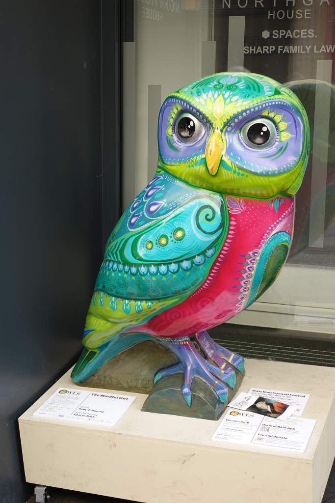 The Mindful Owl