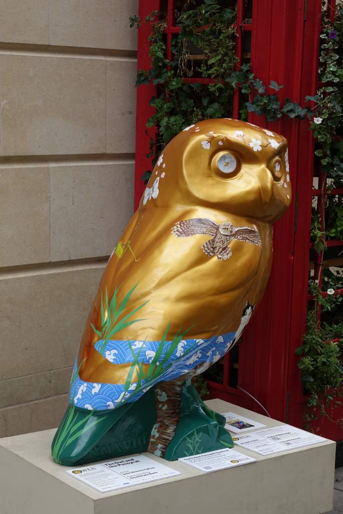 The Owl and the Pussycat