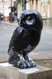 Bird of Play 1