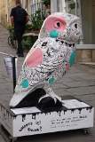 Having a Hoot at Work 1