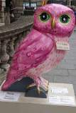 Minerva's Night Owl 2