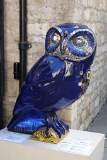 Night Owl
