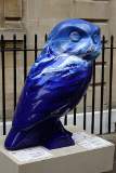 Sea Owl