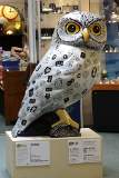 Minerva's Owls