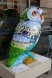 Street Wise Owl 1