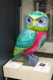 The Mindful Owl