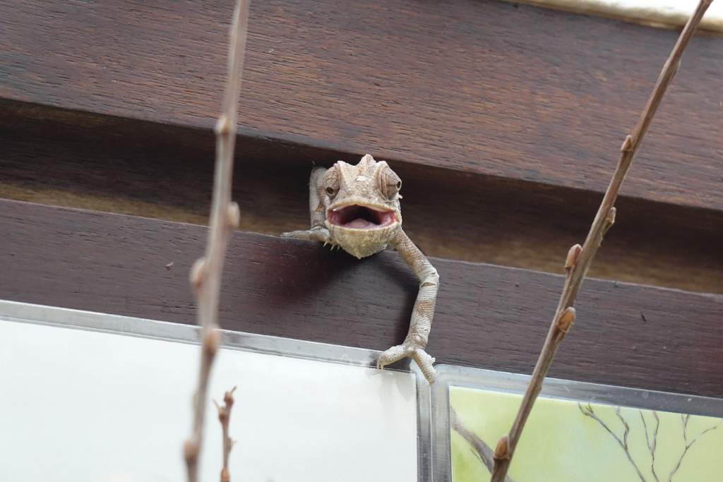 DSC00116