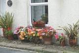 DSC01614