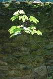 DSC00048