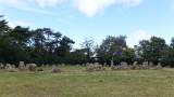 Rollright Stones
