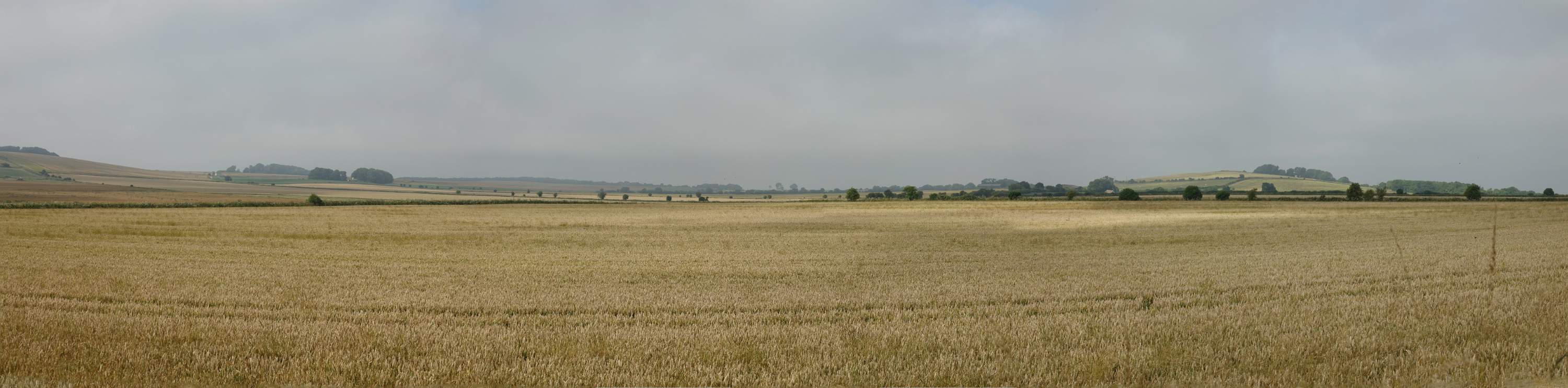 DSC00366-pan
