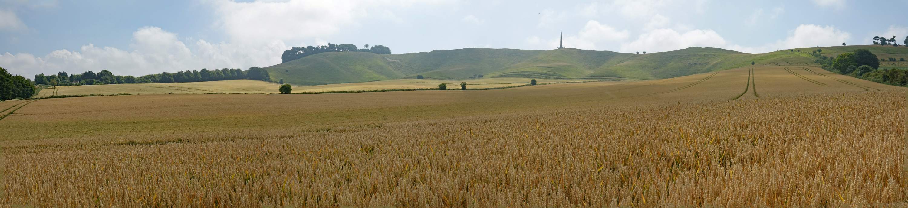 DSC00370-pan