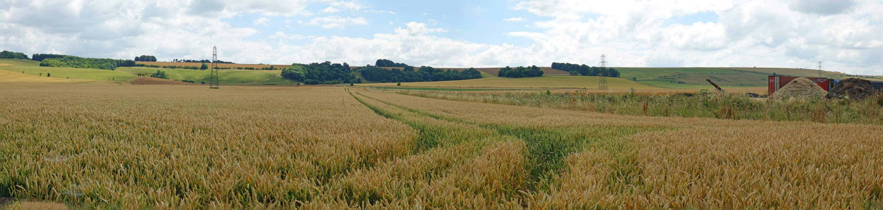 DSC00408-pan