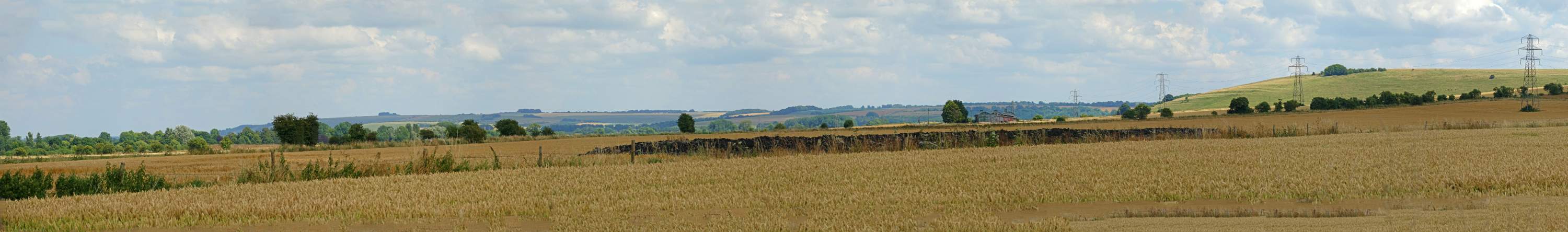 DSC00412-pan