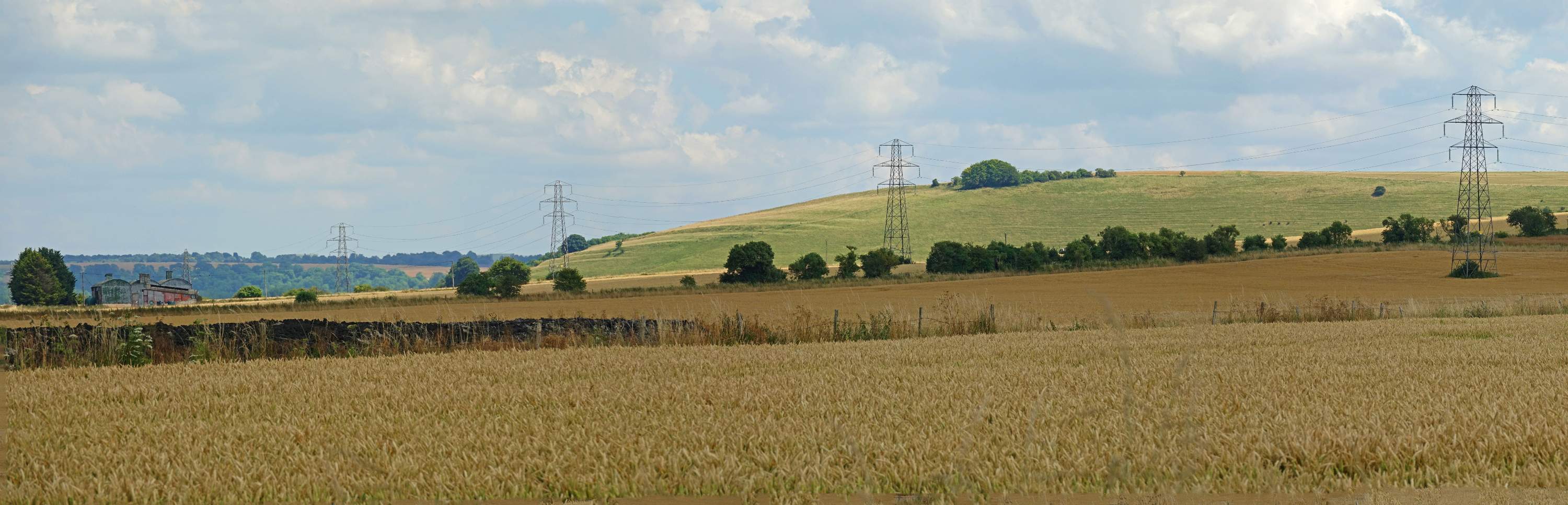 DSC00416-pan