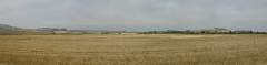 DSC00366-pan