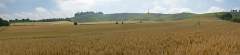 DSC00370-pan