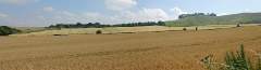 DSC00381-pan