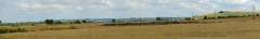 DSC00412-pan