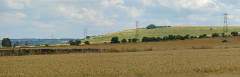 DSC00416-pan
