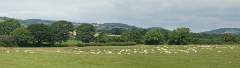 DSC00471-pan