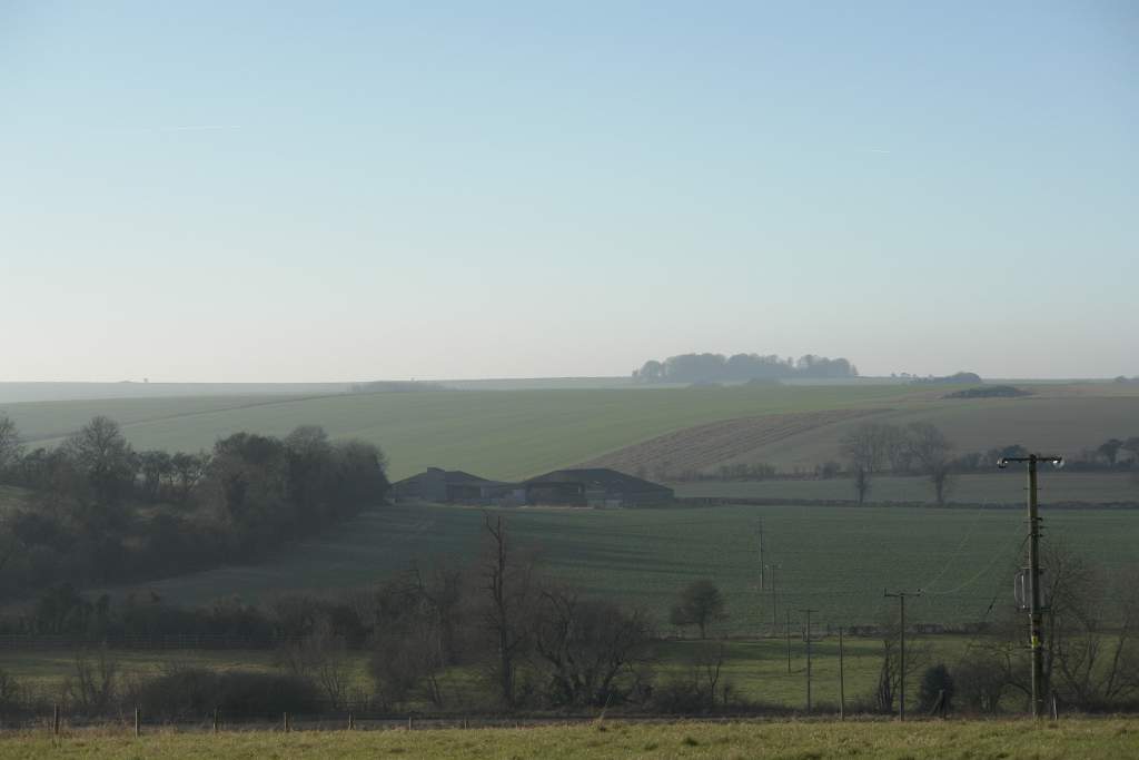 DSC0850