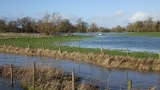 DSC00101