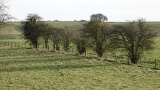 DSC00070
