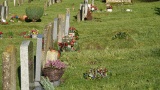 DSC00094