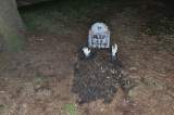 Halloween in Hillworth Park