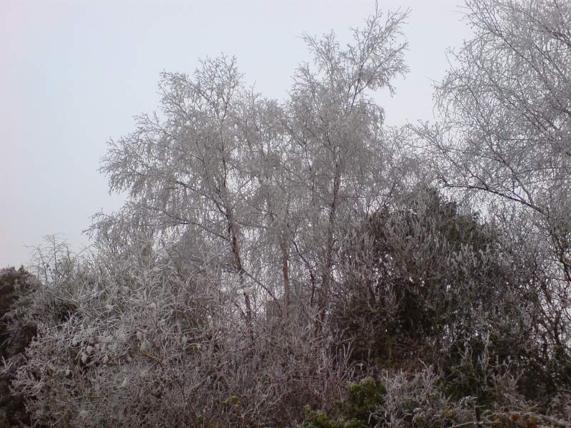 DSC00020