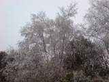 DSC00020