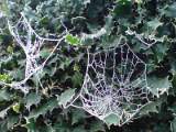 DSC00021
